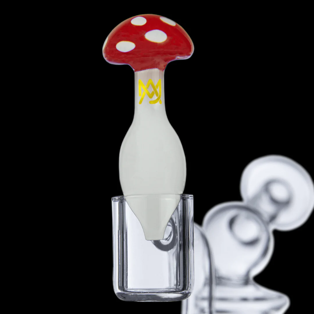 MUSHROOM | Bubble Cap